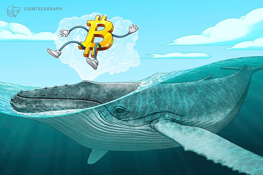 Ballenas representan actualmente más del 40% del flujo de bitcoin hacia exchanges